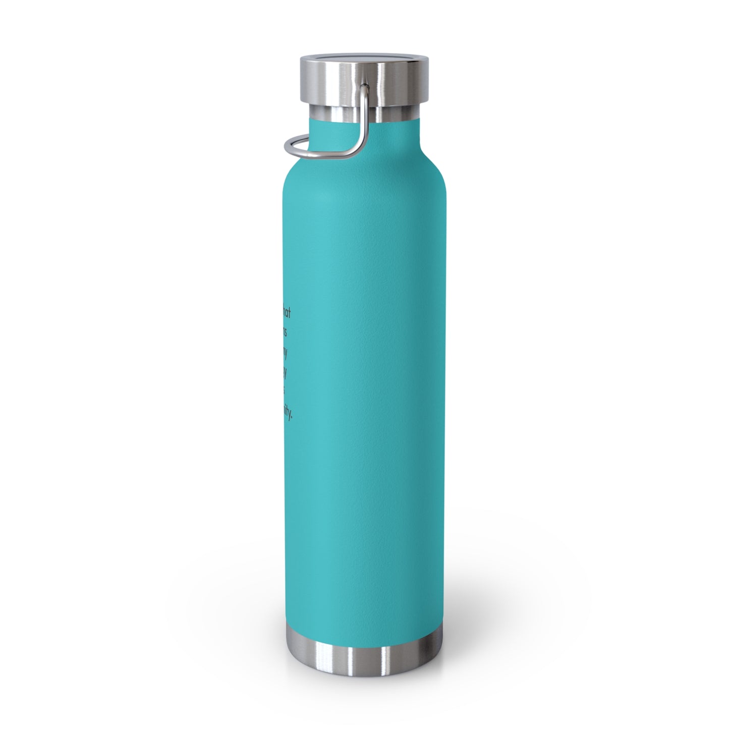 Trader Copper Vacuum Insulated Bottle, 22oz